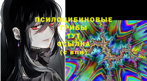 мяу мяу мука Коряжма