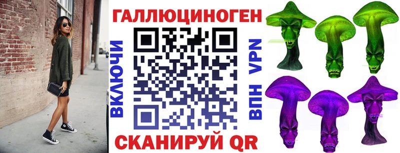 Купить где  Подпорожье  Псилоцибиновые грибы Psilocybe 