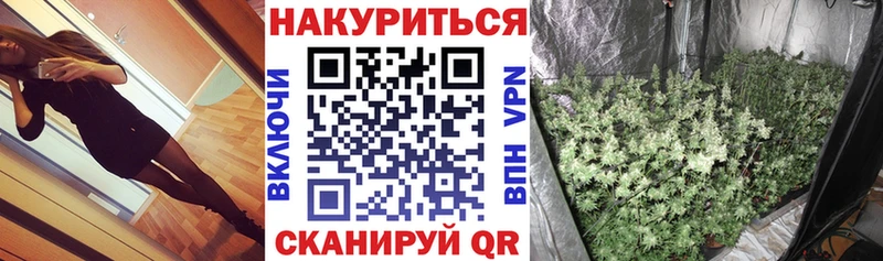 Купить закладки  Подпорожье  Конопля тримм 